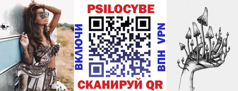 закладки  Собинка  Галлюциногенные грибы Cubensis 